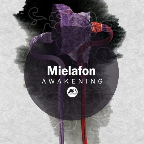 Mielafon - Awakening [MSD048]